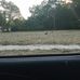 Randy Hemphill - Facebook