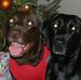 Randy Herndon - Facebook