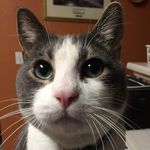 Randy Herndon - @robertherndon9719 - Instagram