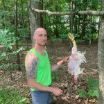 Randy Heywood - @heywoodrandy - Instagram