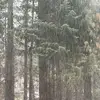 Randy Hickman - @randyhickman122456 - TikTok