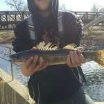 _randy41_ - @randy.hightower123 - Instagram