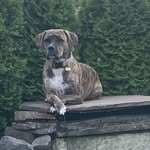 Randy High - @vastbrewing1 - Instagram