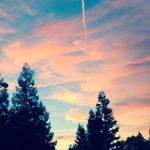 Randy Hilliard - @randy.hilliard - Instagram