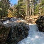 Randy Hodges - @randy.hodges - Instagram