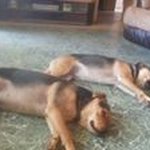 Randy Hodges - @hodges.randy - Instagram