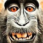 Randy  Holbrook - @desertmonkey75 - Instagram
