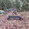 randyholbrook - @randyholbrook - TikTok