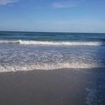 randy hoyle - @williamhoyle02 - Instagram