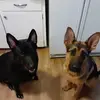 randyhuey659 - @randyhuey659 - TikTok