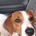 Randy Huffman - Facebook