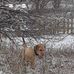 Randy Huffman - Facebook