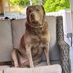 Randy Humphries - @randy.humphries.5 - Instagram