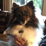 Randi Deacon Hunsaker - @randiwithani7 - Instagram