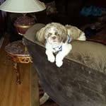 Randy Hurt - @randy32564 - Instagram