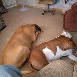 Randy Hutton - @randy.hutton.336 - Instagram