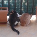 isaac&randy - @isaac_randy_ - Instagram