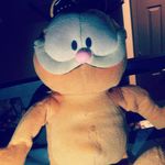Randy_isaac - @randy_turtles - Instagram