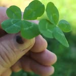 Jake Jacobson - @randy.jacobson - Instagram