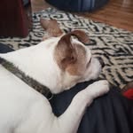 Randy Jacobson - @randyjacobson66 - Instagram