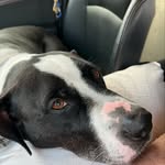 Randy Jarman - @uberjohn5star - Instagram