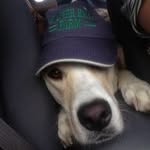 Randy Jarrell - @rtj1112 - Instagram