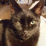 Randy Jeffries - @jeffriesrandy - Instagram