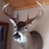 Randy Jenks455 - @user3302115332798 - TikTok