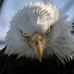 Randy Jensen - Facebook
