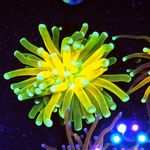 Randy - @randy.jensen651 - Instagram