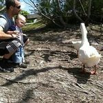 Randy Joe - @randyjoe247361 - Instagram