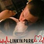 Randy Joslin - @randy.joslin.54 - Instagram