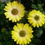 Randy Judy Mattingly - @randymattingly - Instagram