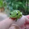 RandybJudyR_b1 - @randybjudyr_b1 - TikTok