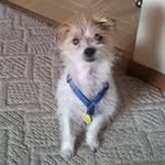 Randy Juhl - @randyjuhl - Instagram