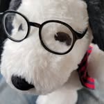 Randyhall47 - @randykaiser47 - Instagram