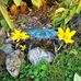 Randy Kale - Facebook