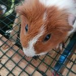 Randy Kaleb - @randykaleb20 - Instagram