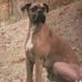 Randy Karnes - Facebook