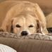 Randy Keatts - Facebook