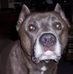 Randy Keefer - Facebook