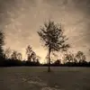 randykeene901 - @randykeene901 - TikTok