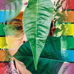Randy Keim - @ran_dm_c - Instagram