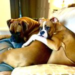 Randy&Kenny - @randyandkenny - Instagram