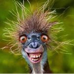 Randy Kenyon - @kenyon_randy - Instagram