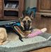 Randy Kenyon - Facebook