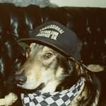 Randy Kepner - @rkk6559 - Instagram