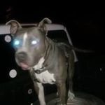 Randy Kidd - @randy.kidd.7509 - Instagram