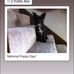 Randy Kidder - Facebook