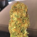 Randy - @roach_killer_randy - Instagram